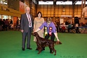 Crufts2011_2 206